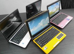 山寨上網(wǎng)本與計(jì)算機(jī)網(wǎng)絡(luò)工程 低質(zhì)與規(guī)范的碰撞